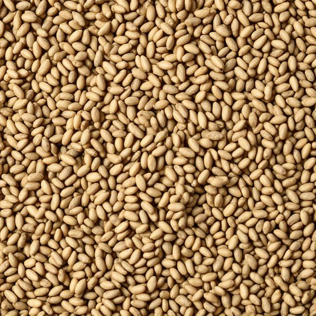Chia Seeds Telugu Name: Health Benefits and Uses You Should Know